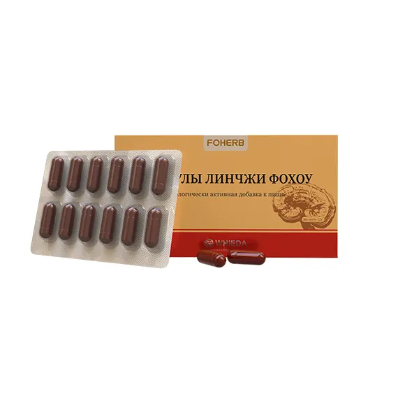 Lingzhi Capsules - Natural adaptogen for energy